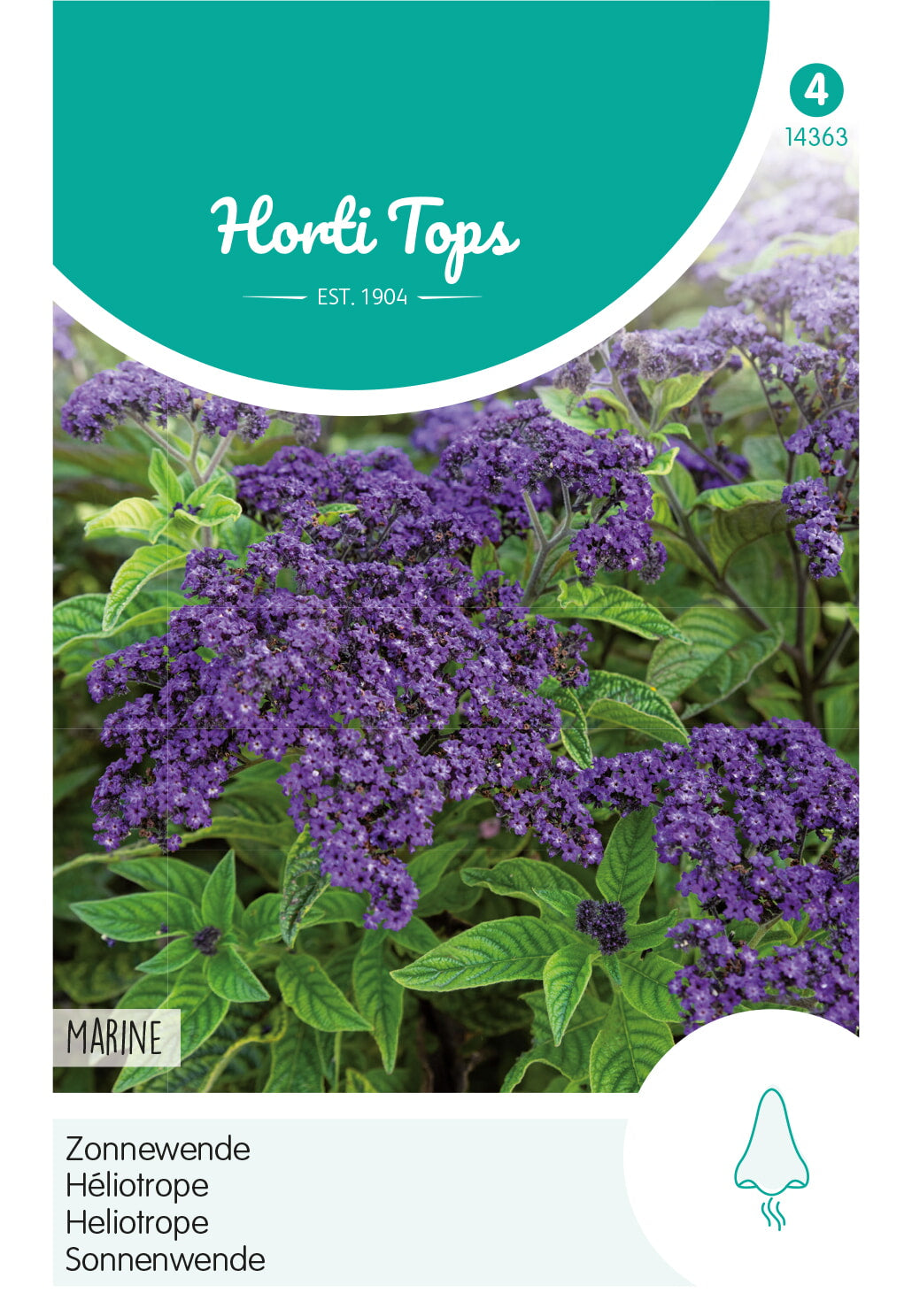 Horti Tops Vanilleblume Peruvianum Marine