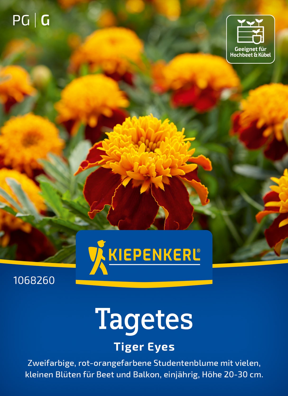 Kiepenkerl Studentenblumen Tiger Eyes