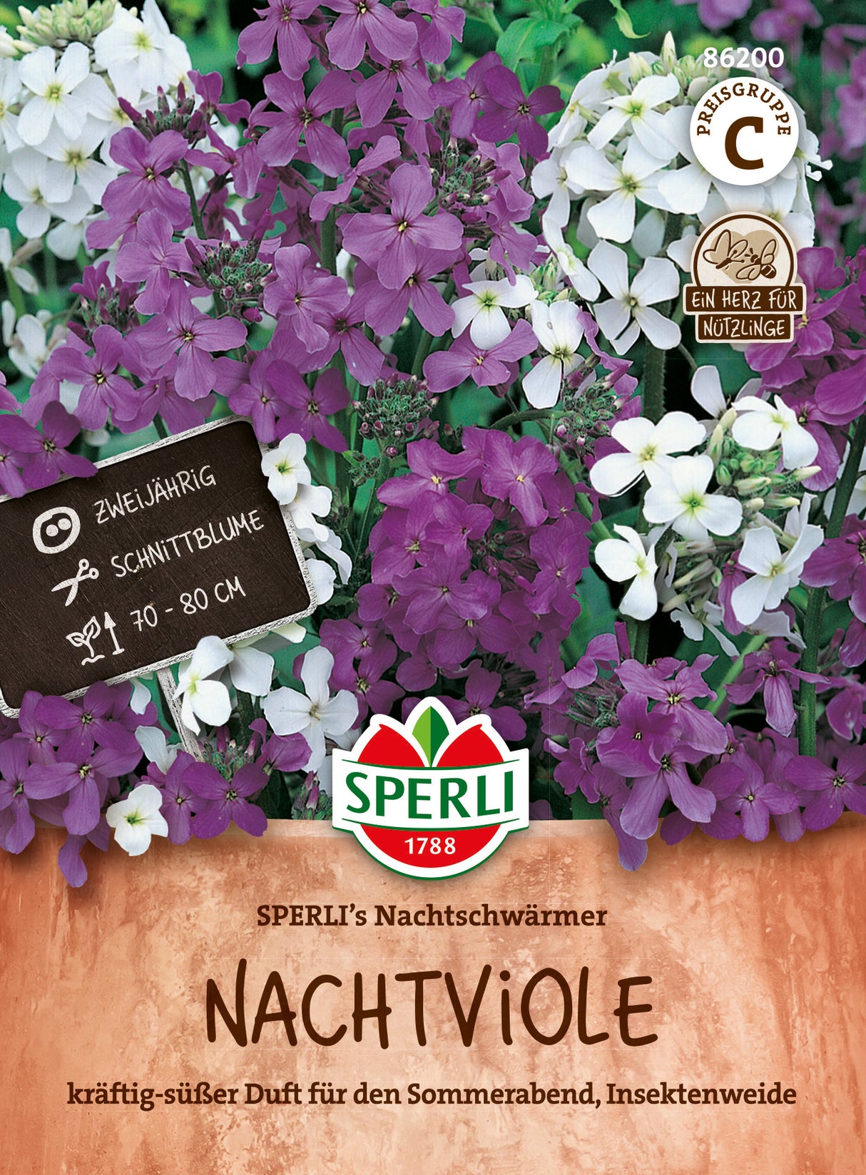 SPERLI Nachtviole SPERLI's Nachtschwärmer