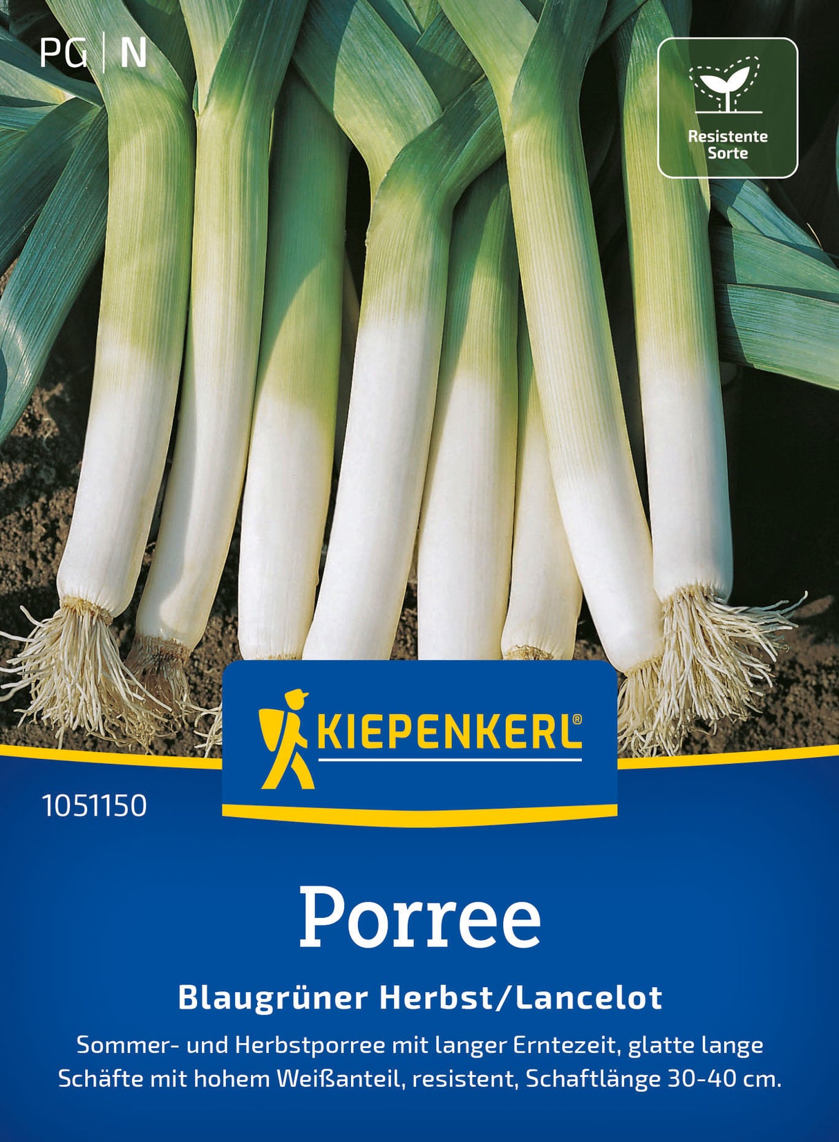 Kiepenkerl Lauch Blaugrüner Herbst/Lancelot