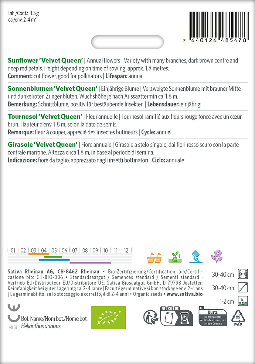 Sativa Sonnenblumen Velvet Queen