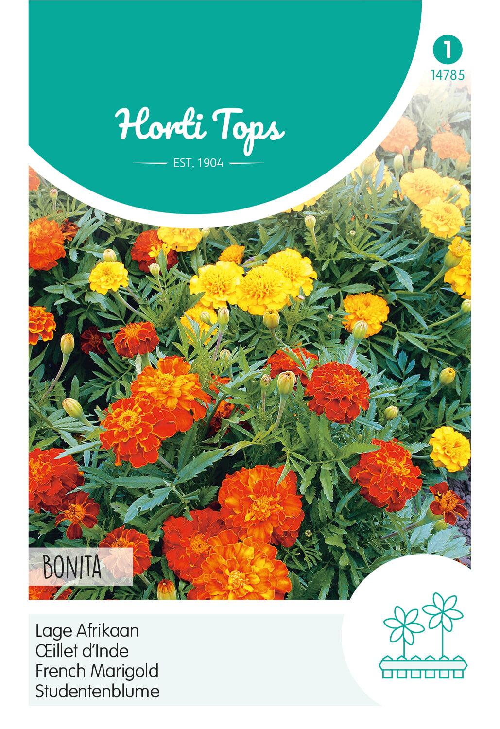 Horti Tops Studentenblume Bonita Gefüllte Mischung