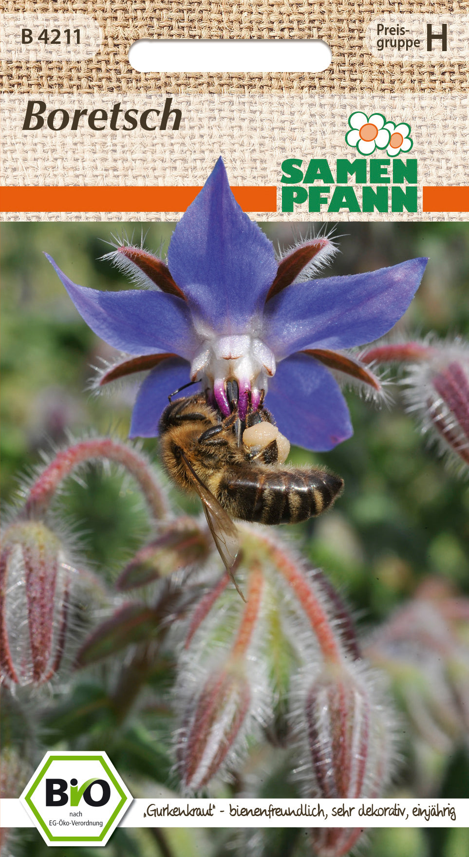 Samen Pfann BIO Boretsch Einjährig