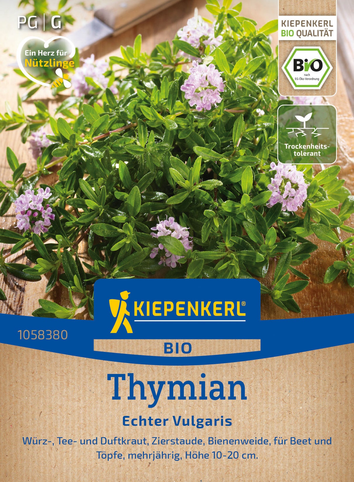 Kiepenkerl Thymian Echter Vulgaris