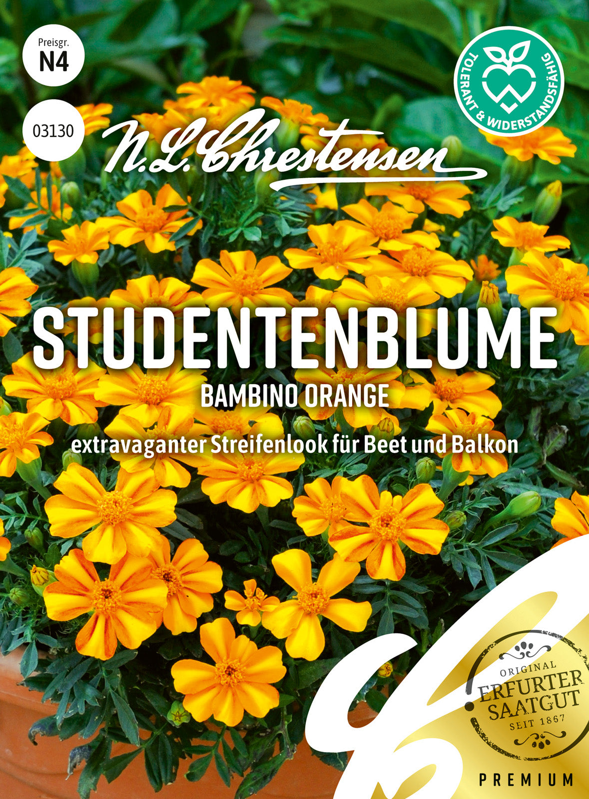N.L. Chrestensen Studentenblume Bambino Orange