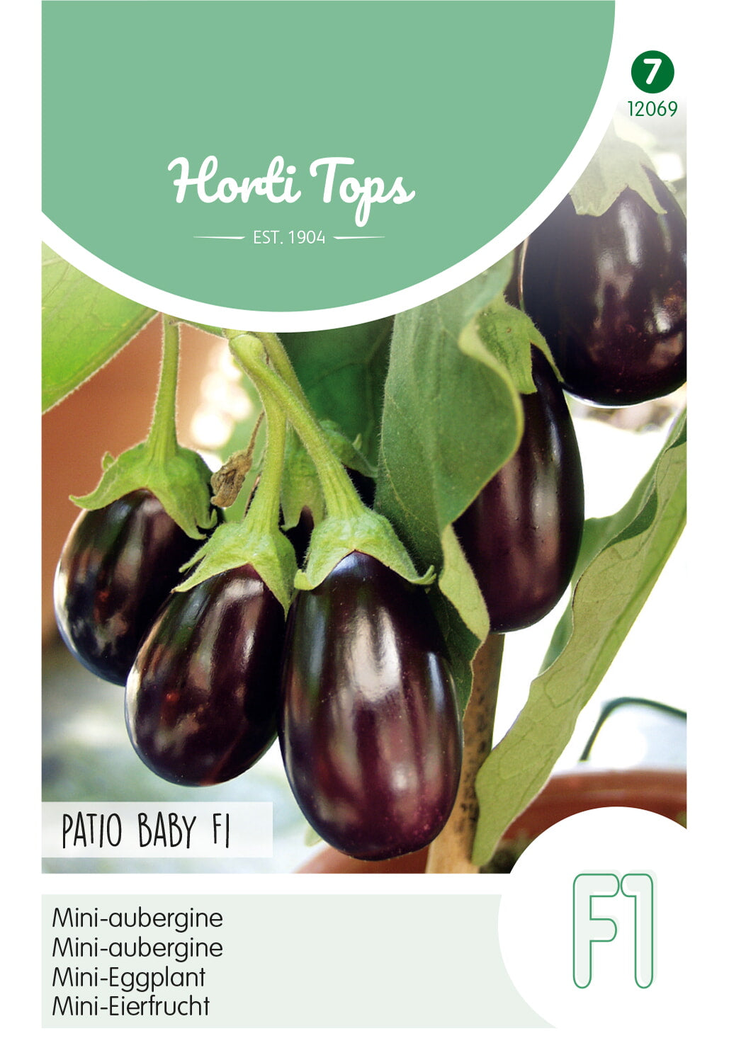 Horti Tops Mini-Aubergine Ophelia