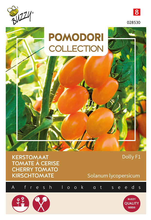Buzzy Seeds Kirschtomate Dolly