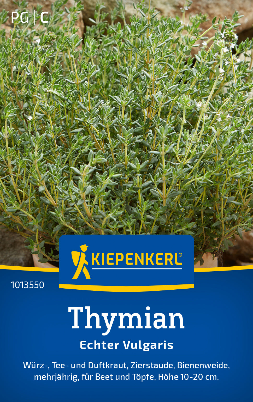 Kiepenkerl Thymian Echter Vulgaris