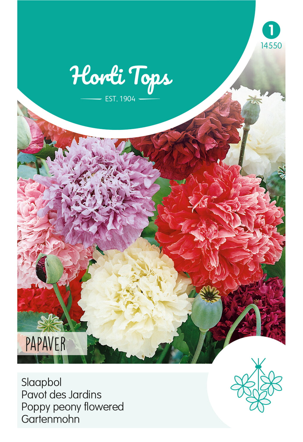Horti Tops Pfingstmohn Paeoniflorum Gefüllte Mischung