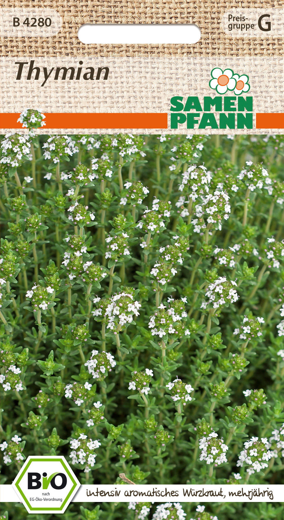 Samen Pfann BIO Thymian Mehrjährig