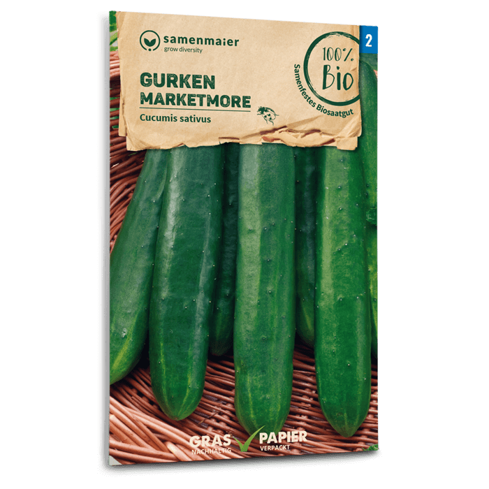 Samen Maier BIO Salatgurke Marketmore