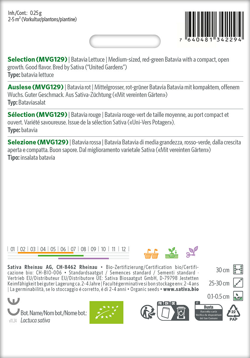 Sativa Bataviasalat rot Auslese (MVG129)