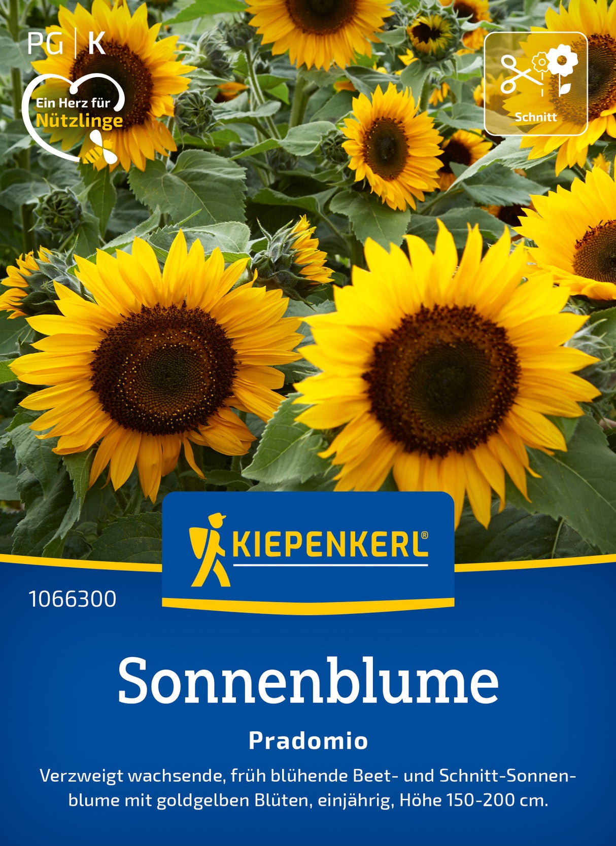 Kiepenkerl Sonnenblumen Pradomio