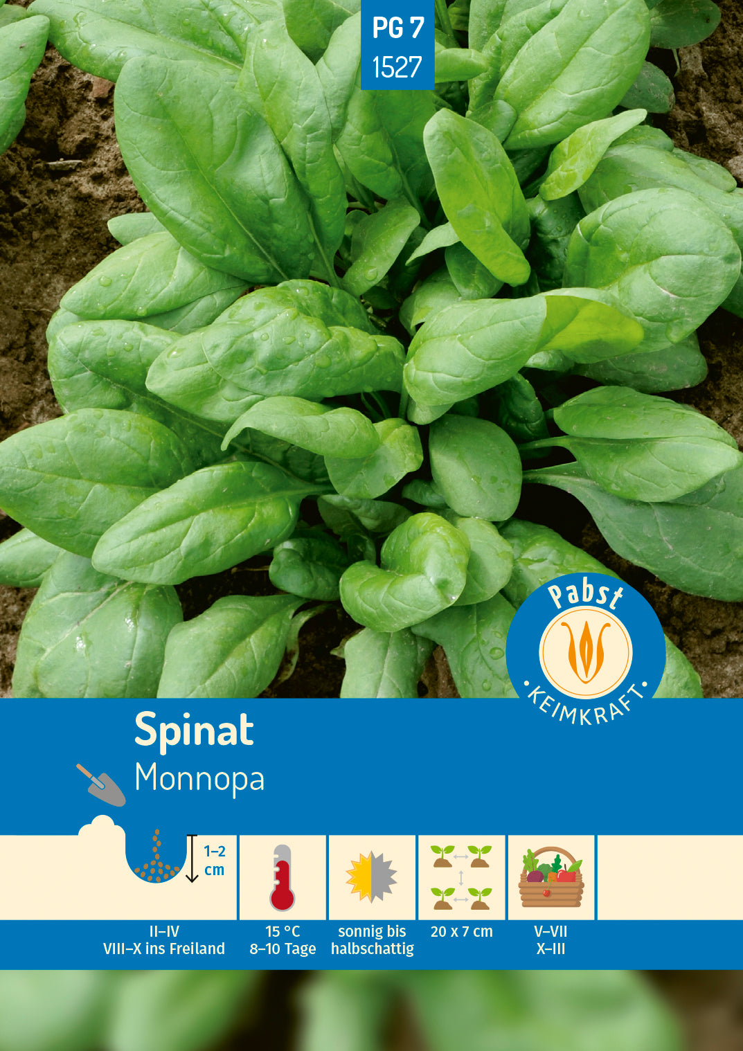Pabst Keimkraft Spinat Monnopa