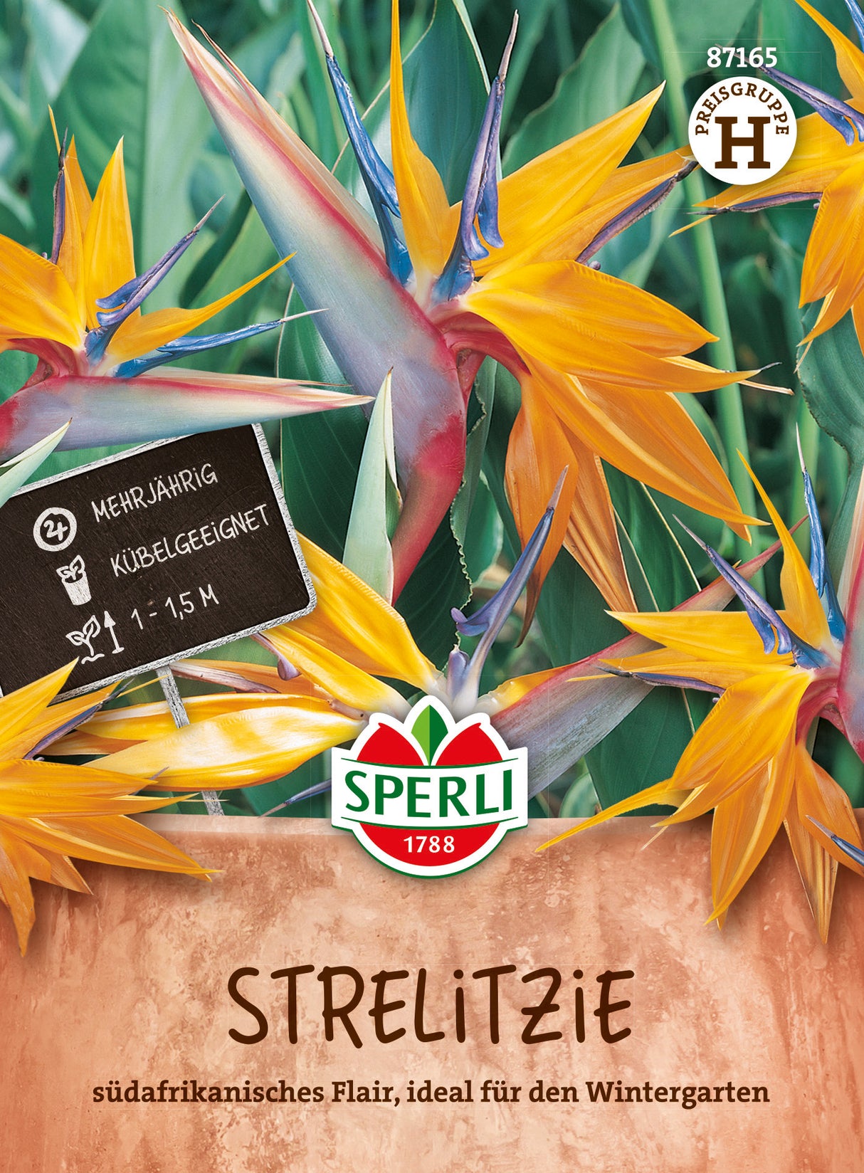 SPERLI Strelitzie