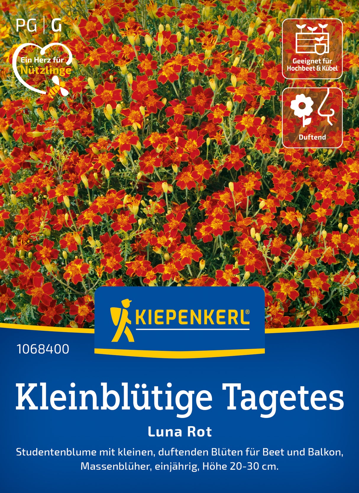 Kiepenkerl Studentenblumen Luna Rot