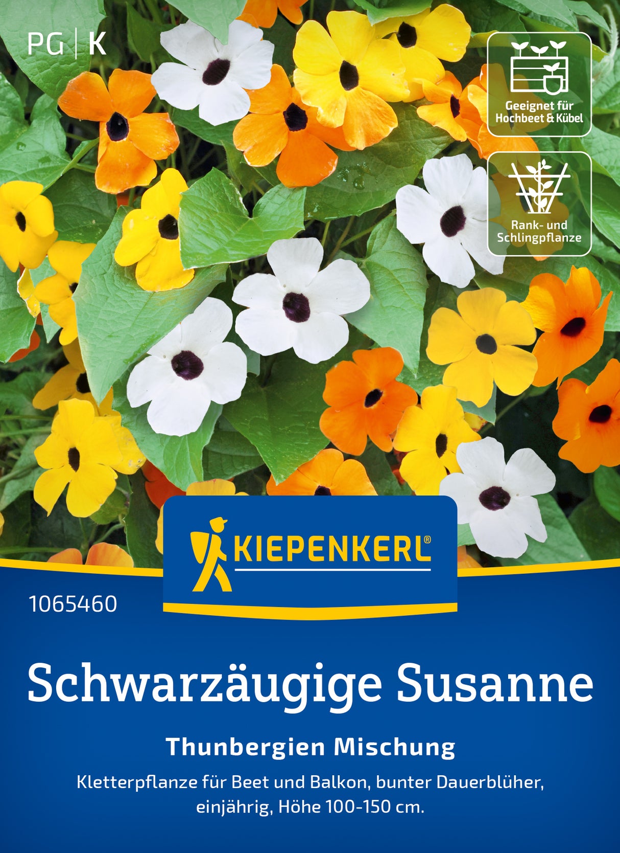 Kiepenkerl Schwarzäugige-susanne Thunbergien Mischung