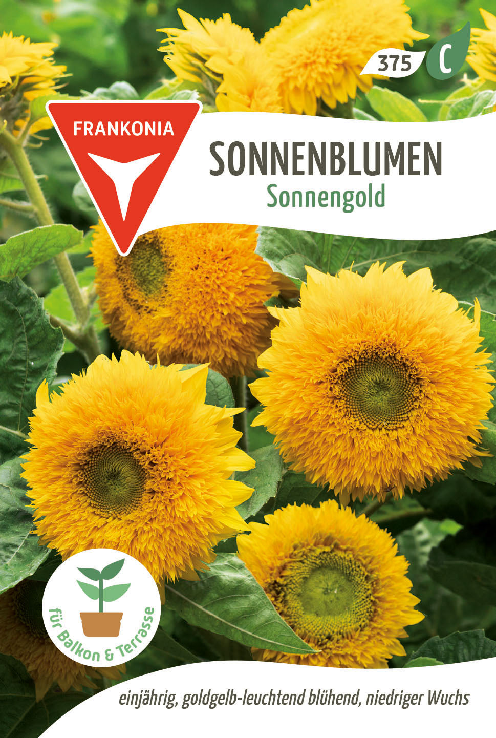 Frankonia Samen Sonnenblumen Sonnengold