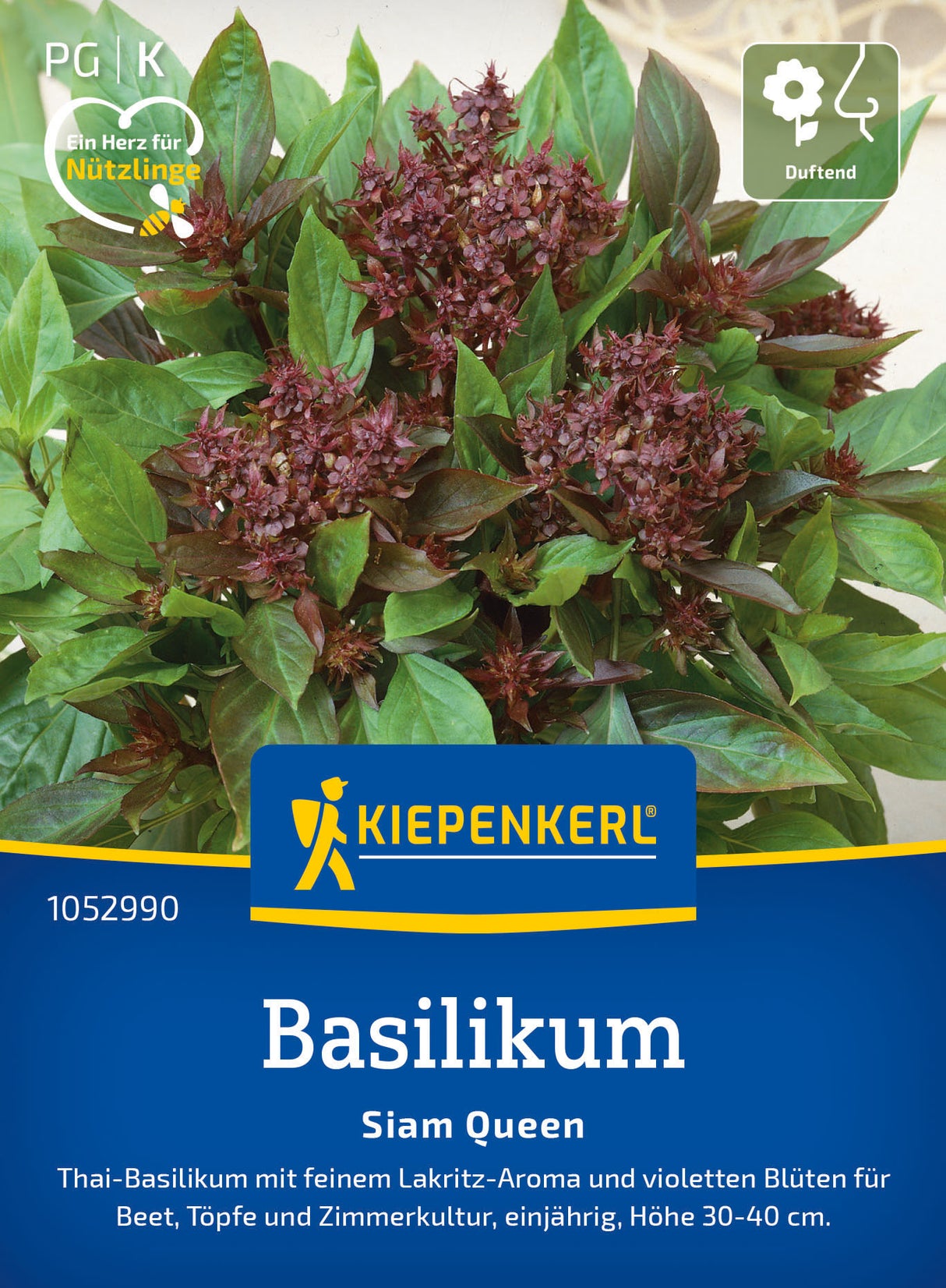 Kiepenkerl Basilikum Siam Queen
