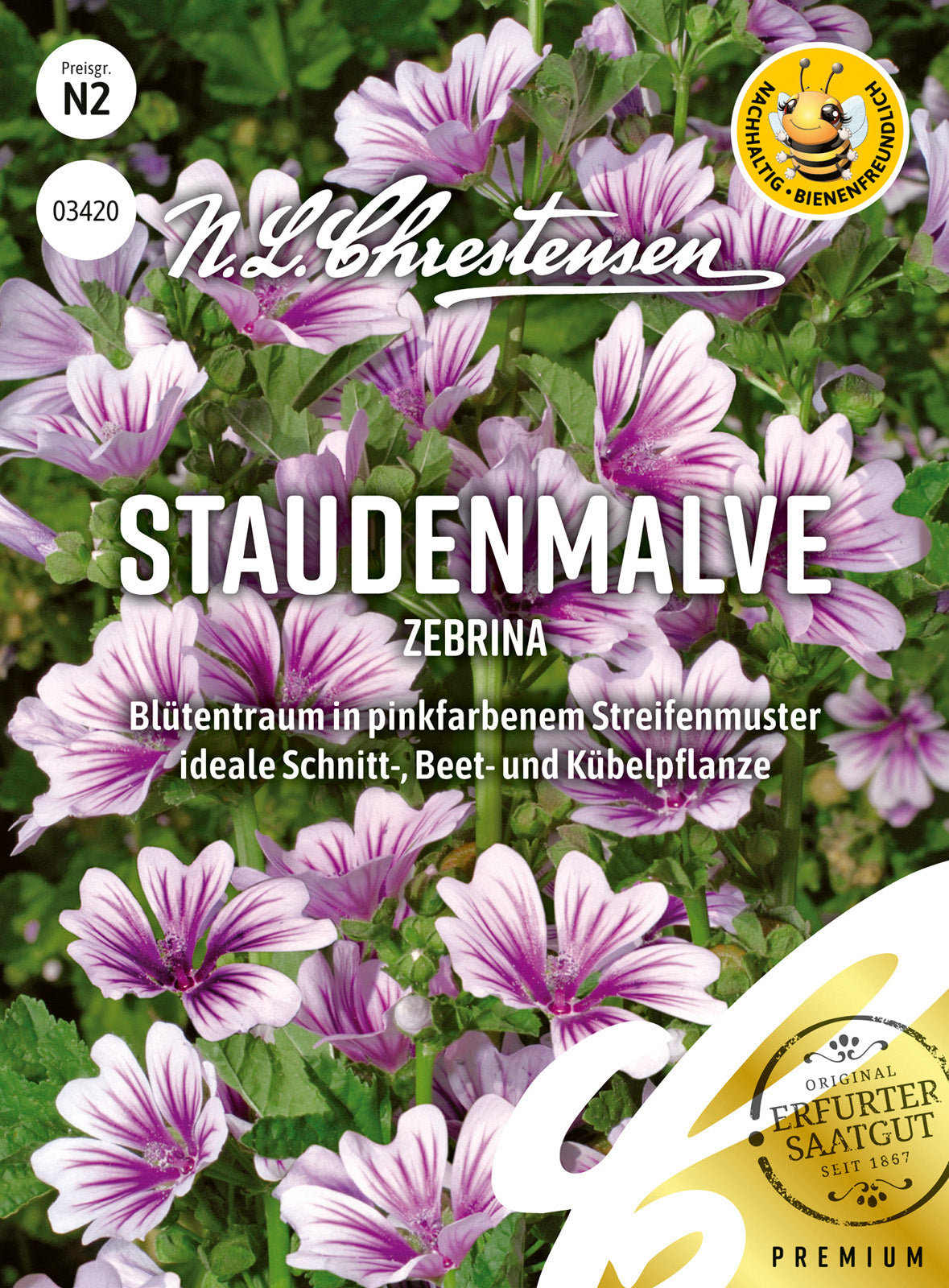 N.L. Chrestensen Staudenmalve Zebrina