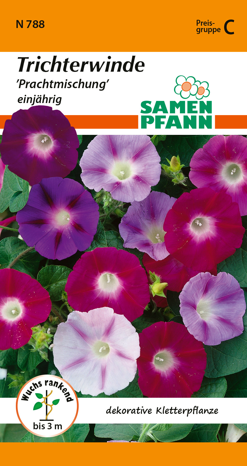 Samen Pfann Prachtmischung Trichterwinde