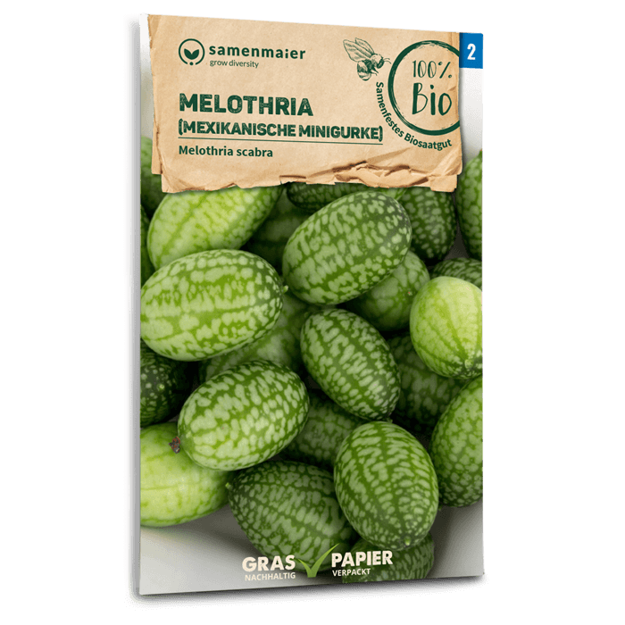 Samen Maier BIO Mexikanische Minigurke Melothria