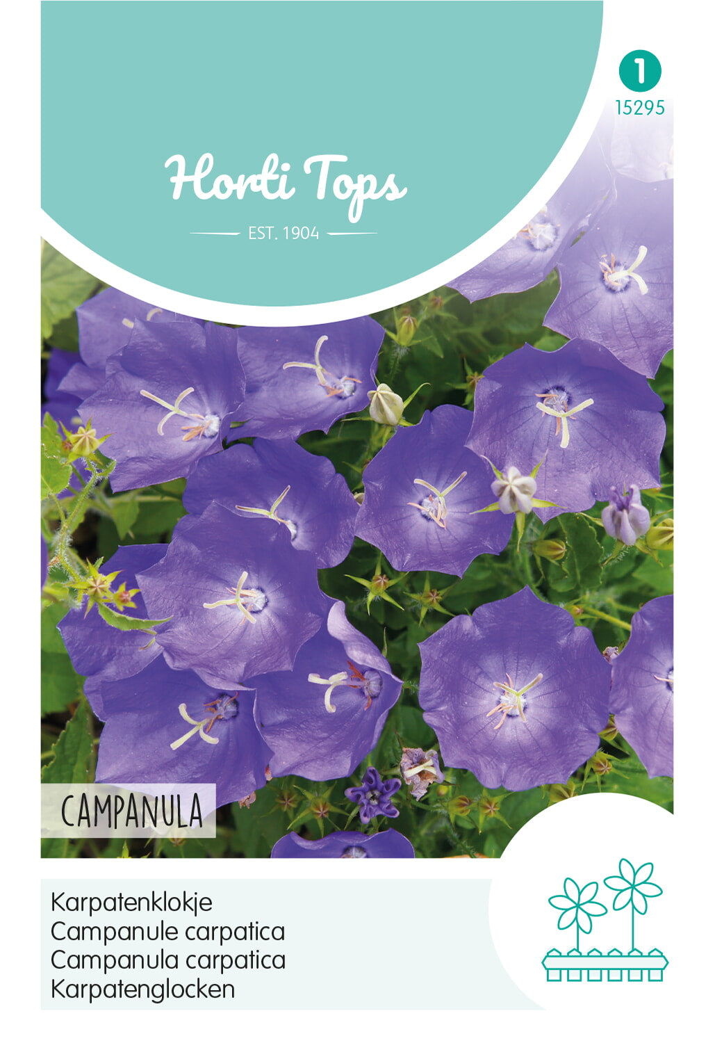 Horti Tops Glockenblume Carpatica, Blau