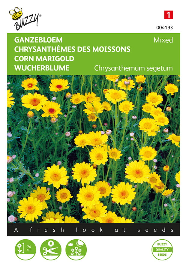 Buzzy Seeds Wucherblume Gelbe färbung Mischung