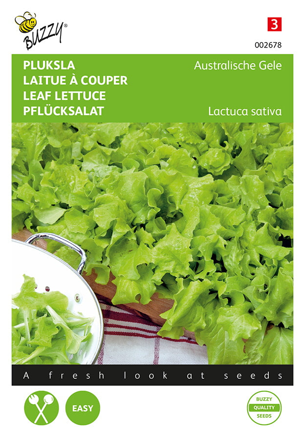 Buzzy Seeds Pflück- & Schnittsalat Australischer gelber
