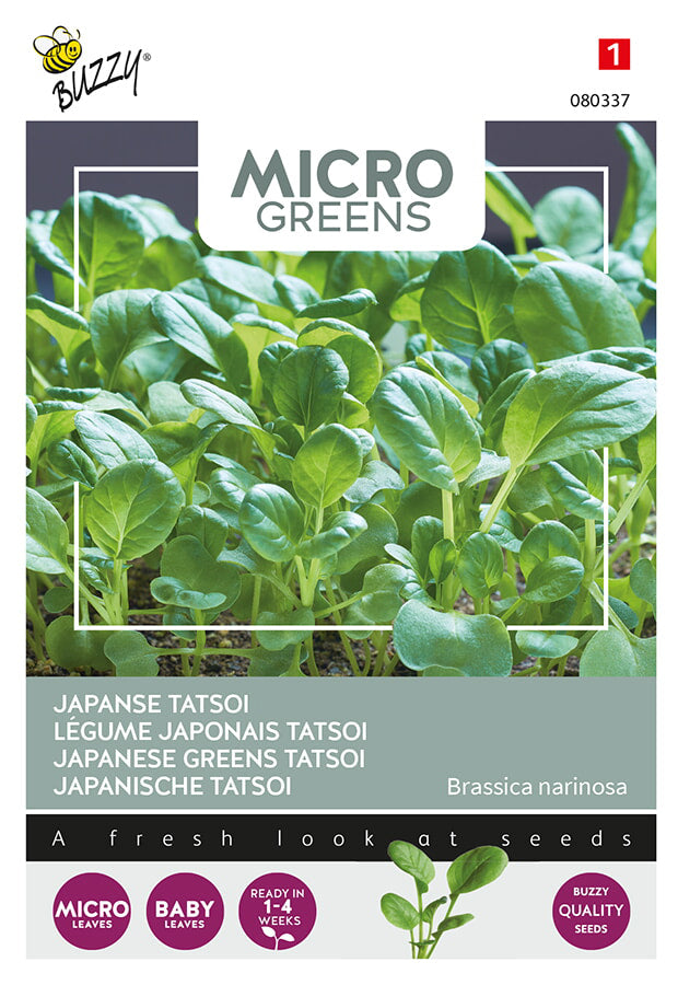 Buzzy Seeds Microgreens Japanischer Tatsoi