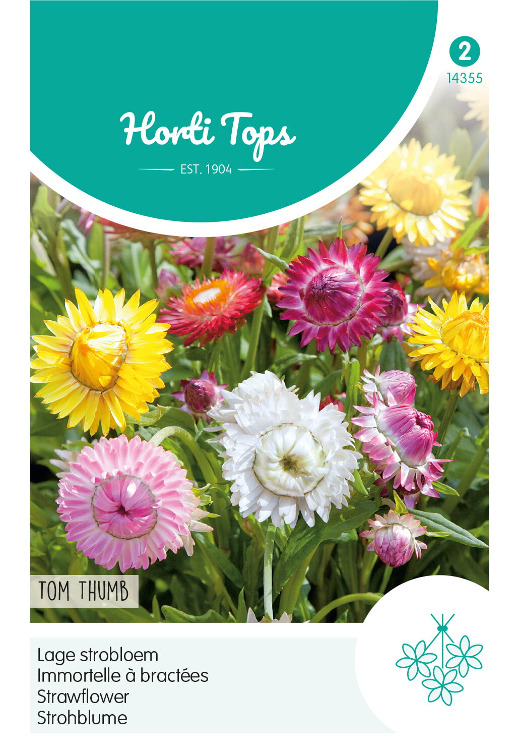 Horti Tops Strohblume Bracteatum Tom Thumb Mischung