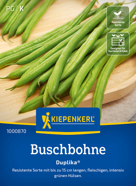 Kiepenkerl Buschbohnen Duplika®