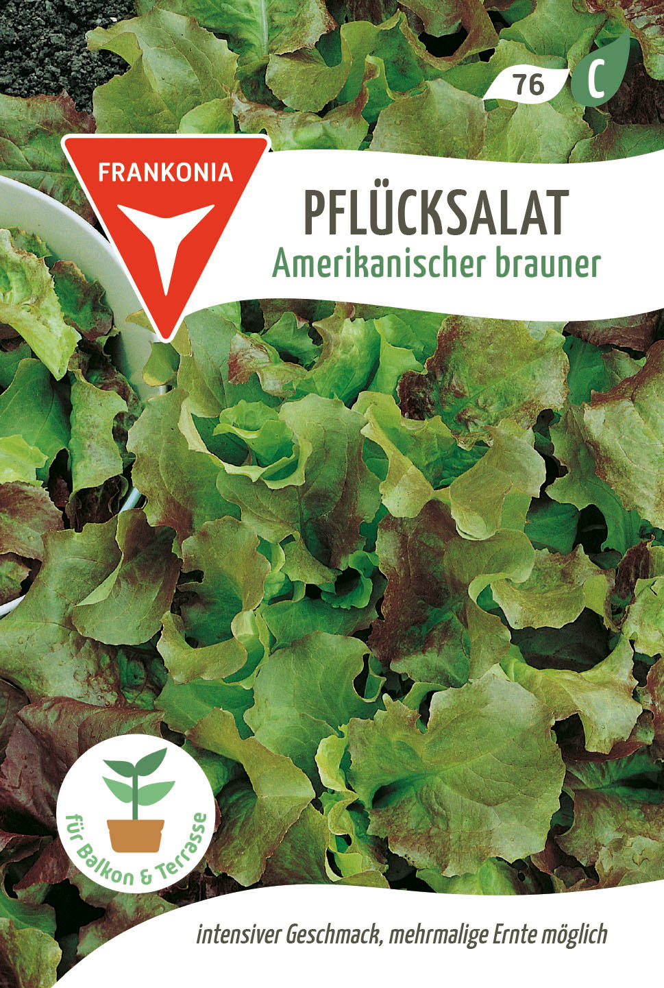 Frankonia Samen Pflück- & Schnittsalat Amerikanischer brauner