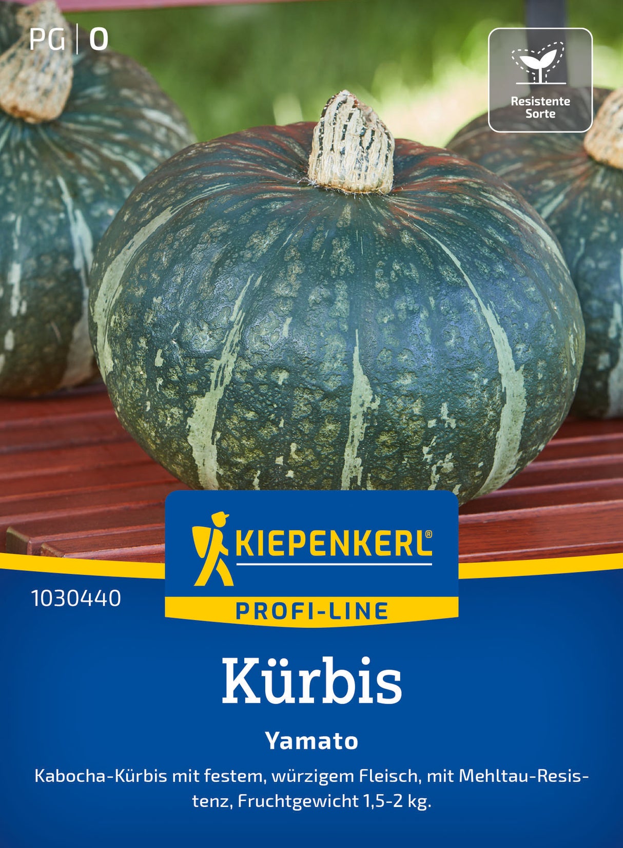 Kiepenkerl Kürbis Yamato