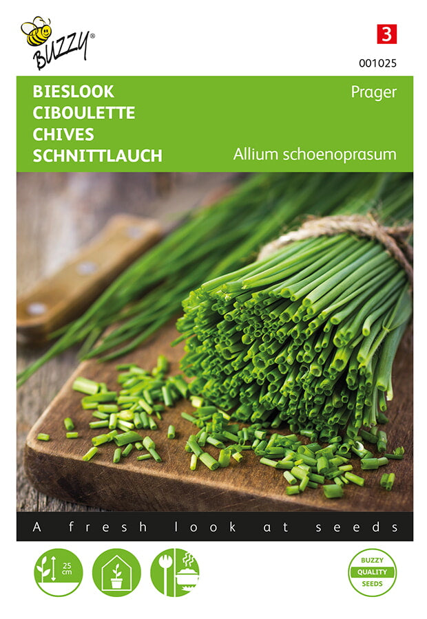 Buzzy Seeds Schnittlauch Feinröhrig