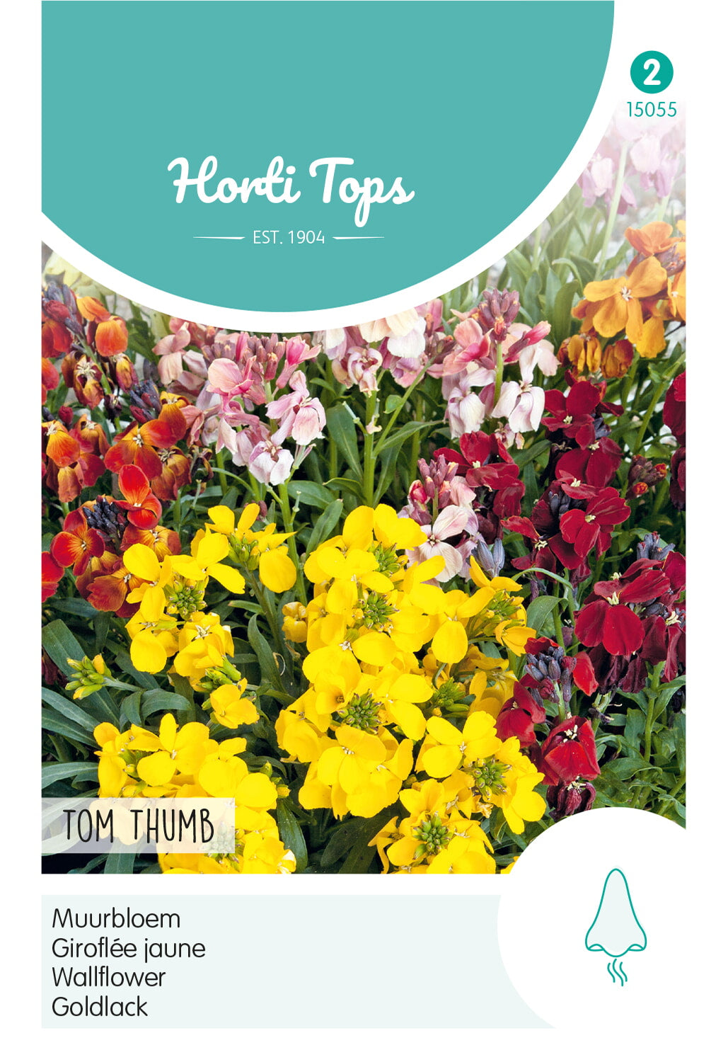 Horti Tops Goldlack Tom Thumb