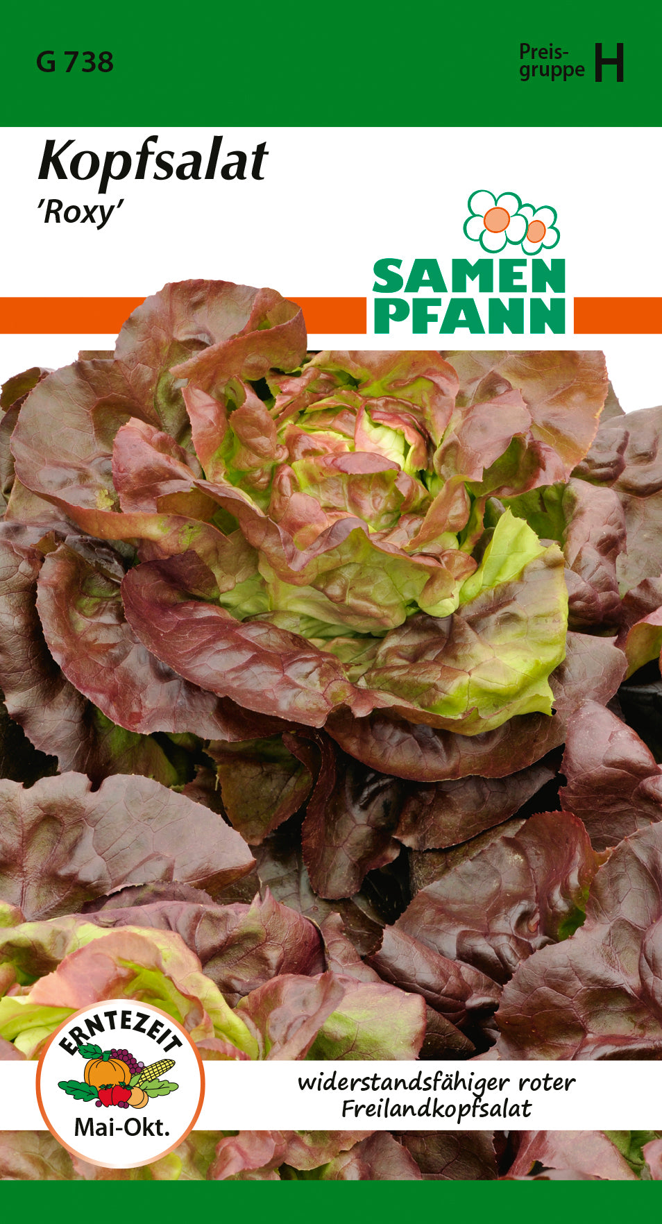 Samen Pfann Kopfsalat Roxy