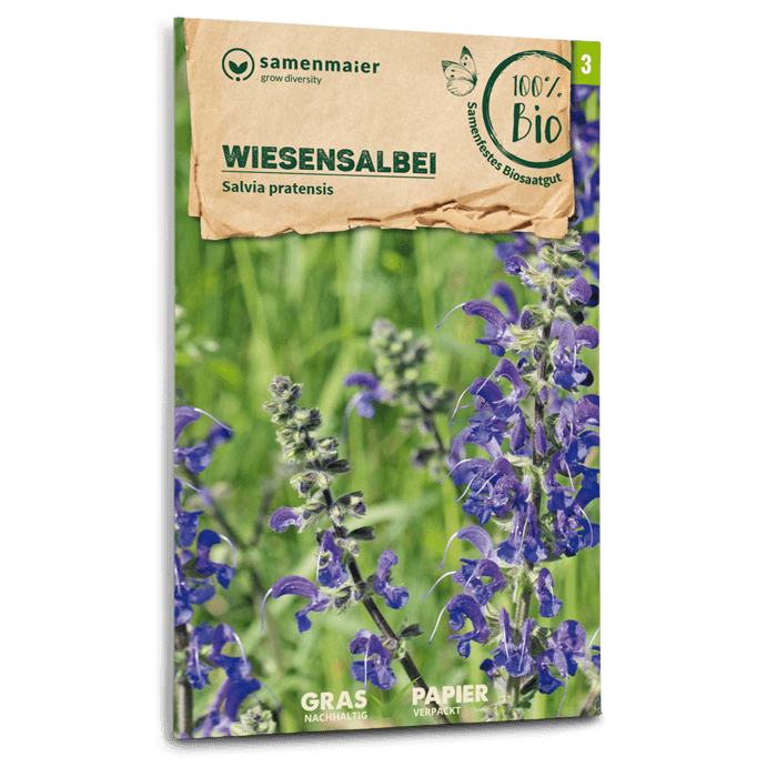 Samen Maier BIO Wiesensalbei