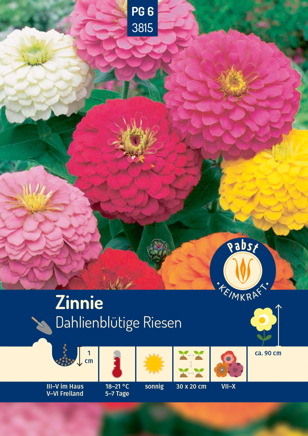 Pabst Keimkraft Zinnien Dahlienblütige Mischung