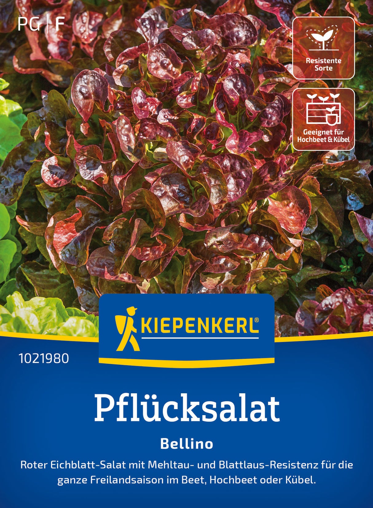 Kiepenkerl Pflück- & Schnittsalat Bellino