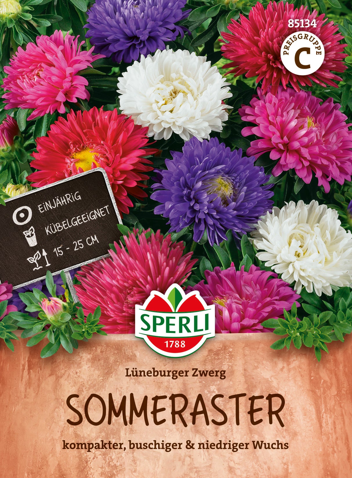 SPERLI Sommeraster Lüneburger Zwerg