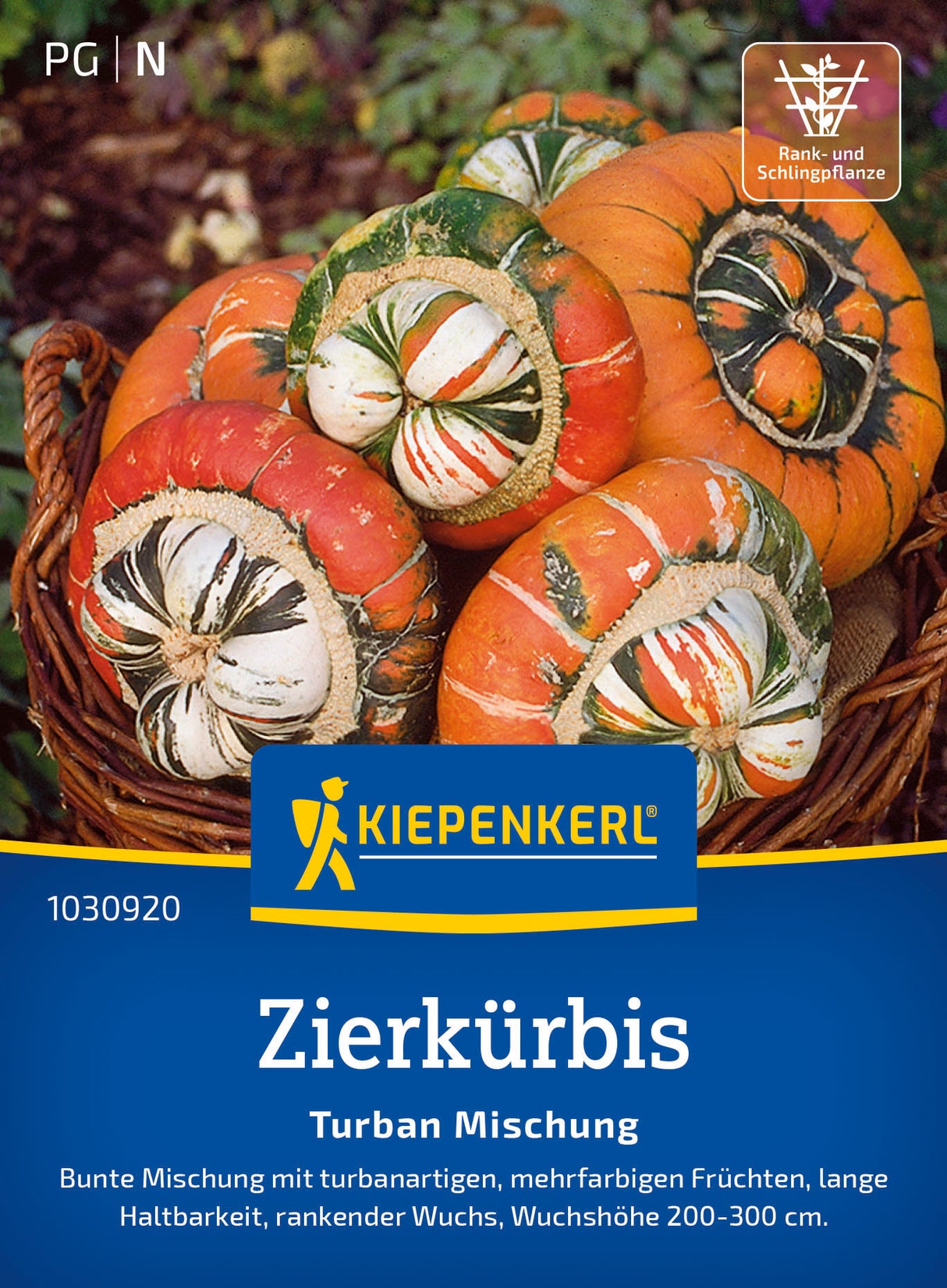 Kiepenkerl Kürbis Turban Mischung