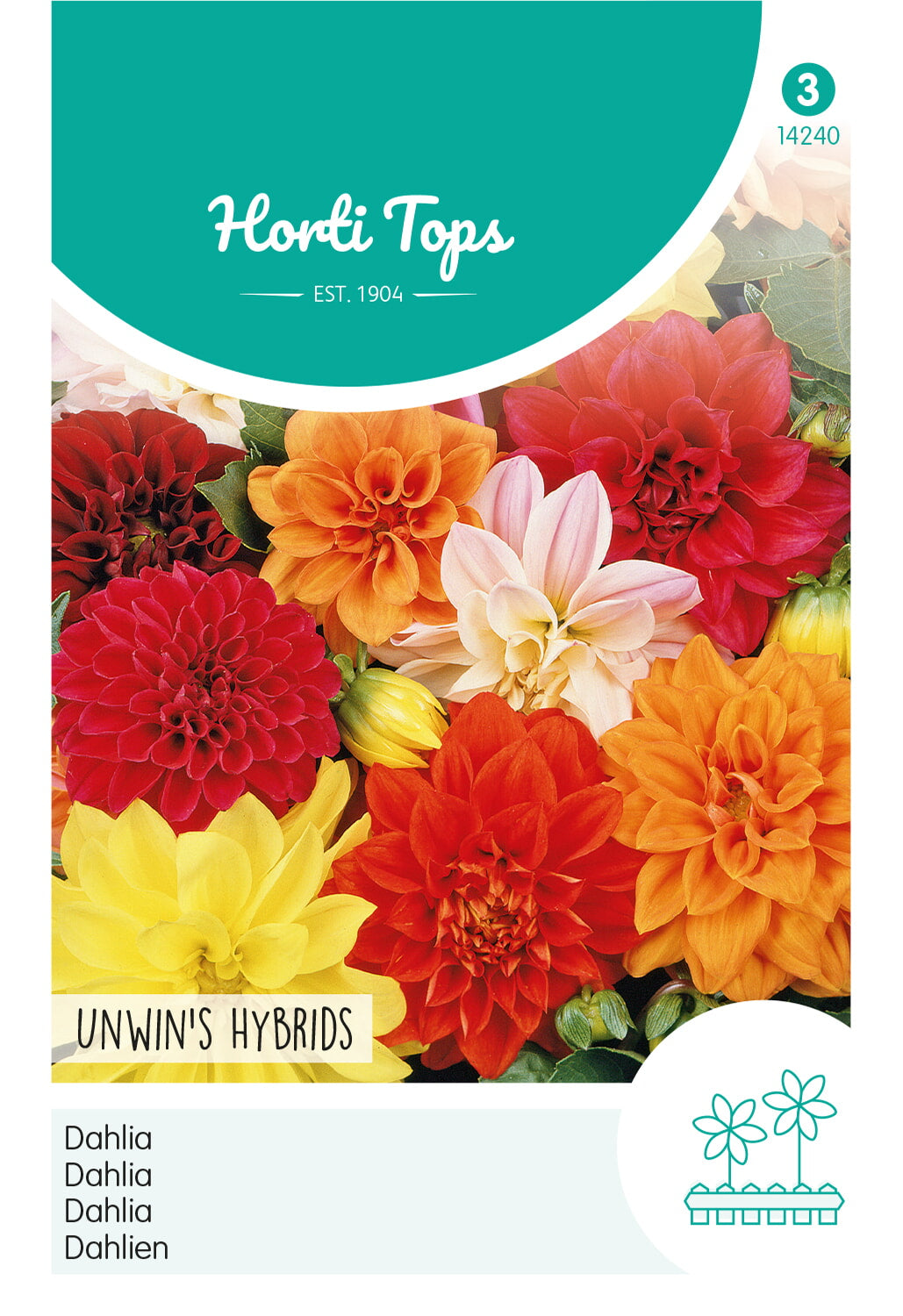 Horti Tops Dahlie Unwin's Hybride halbgefüllte Mischung