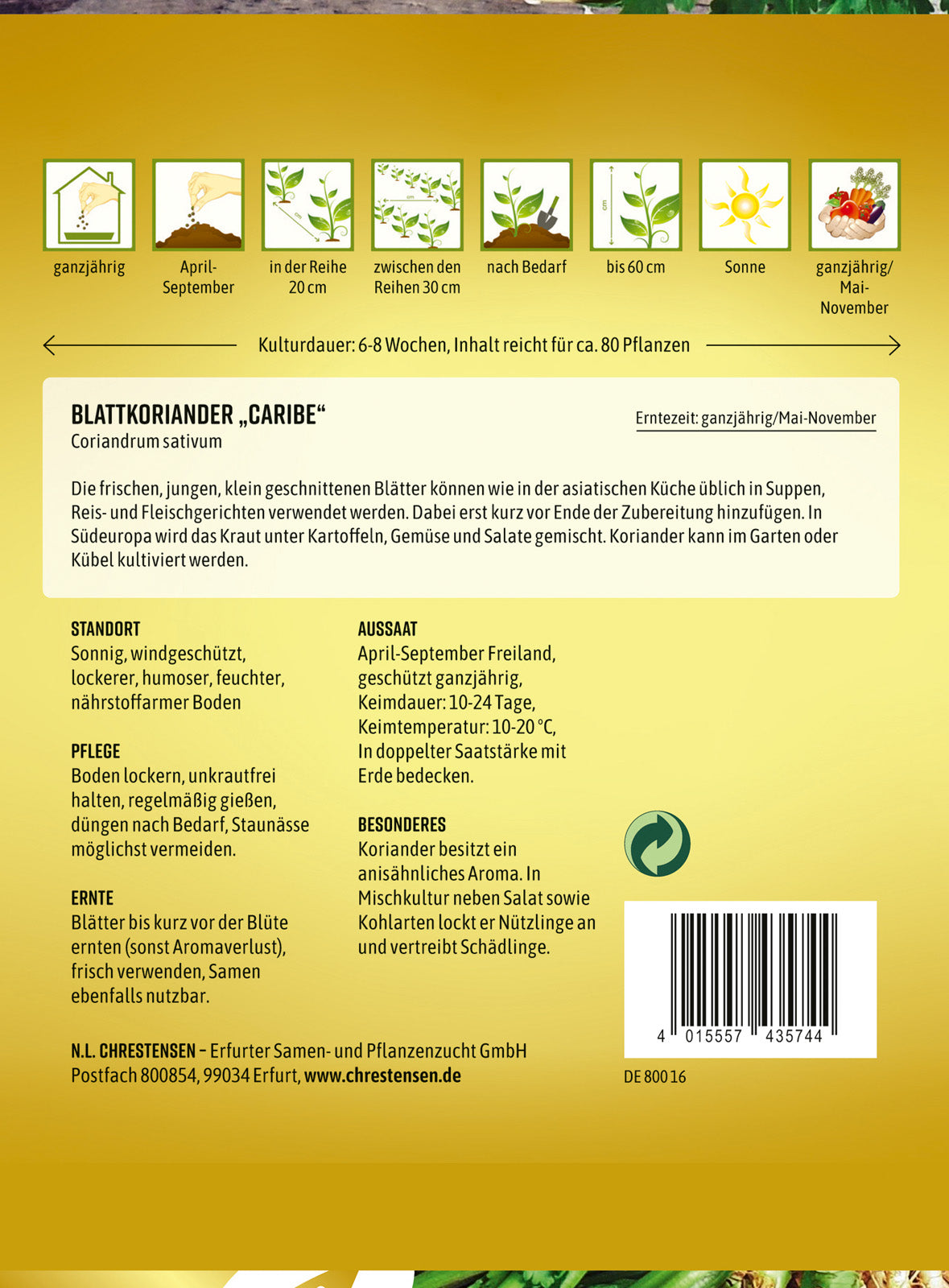 N.L. Chrestensen Blattkoriander Caribe