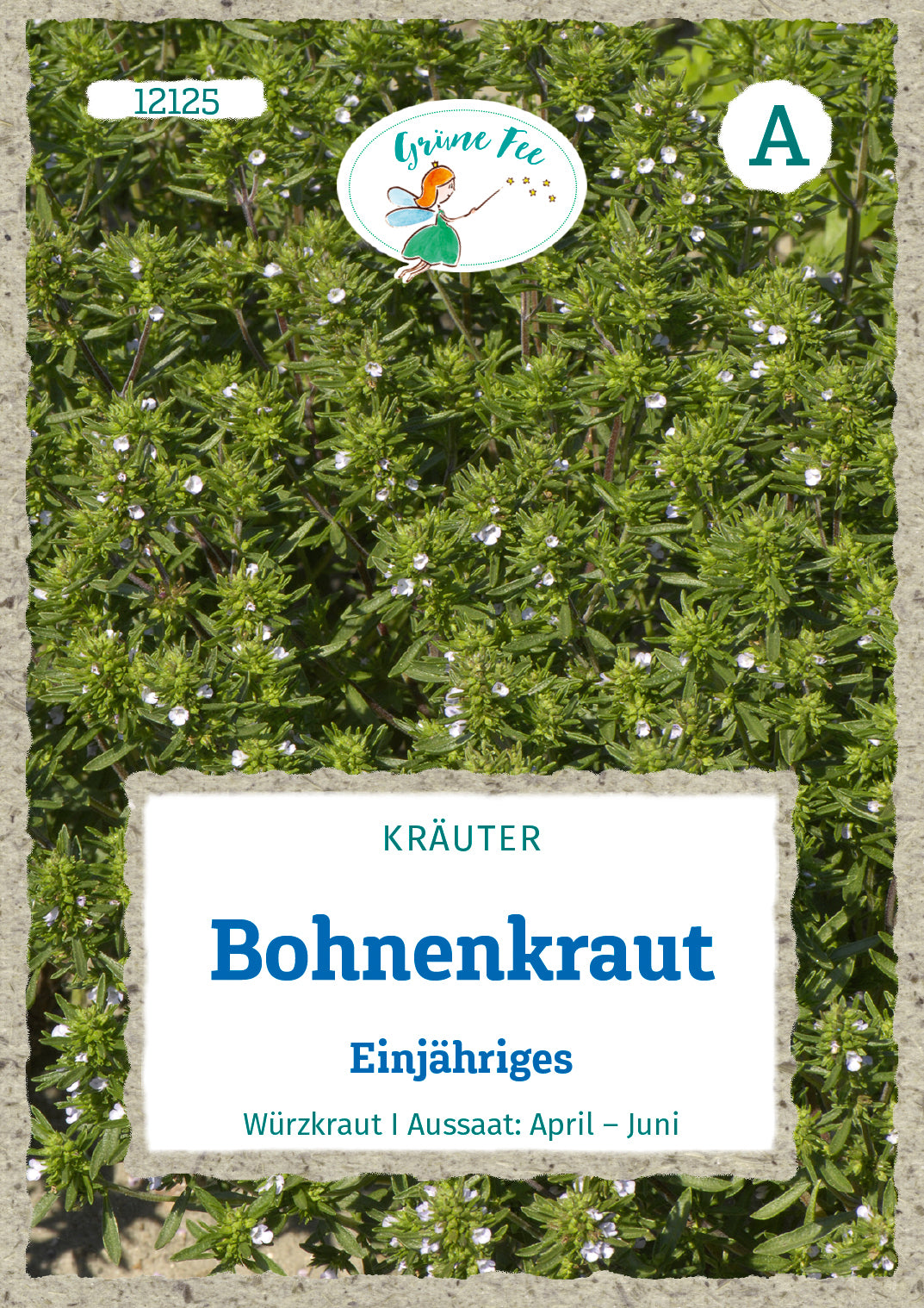 Grüne Fee Bohnenkraut Einjährig