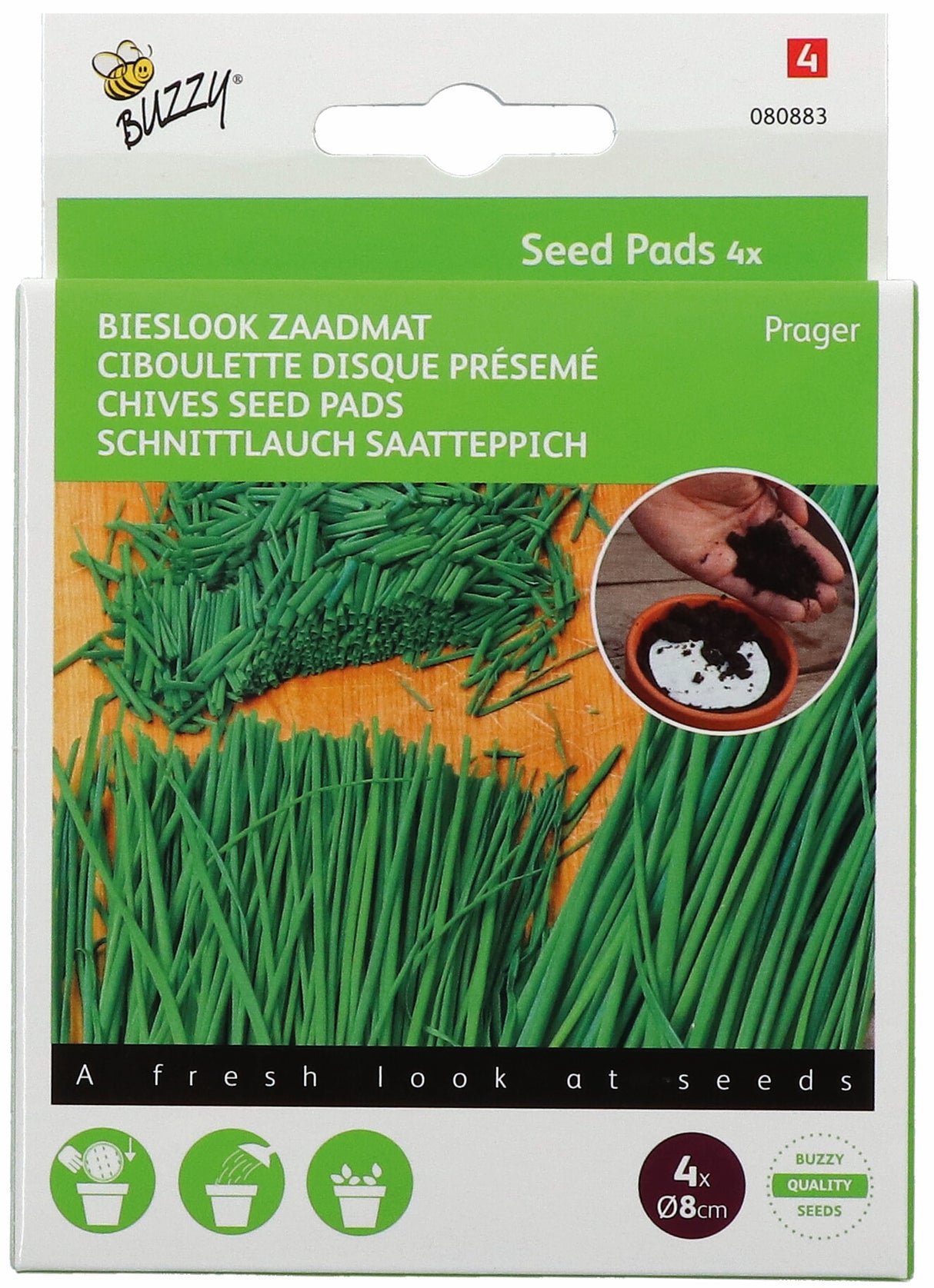 Buzzy Seeds Schnittlauch Prager Saatscheibe