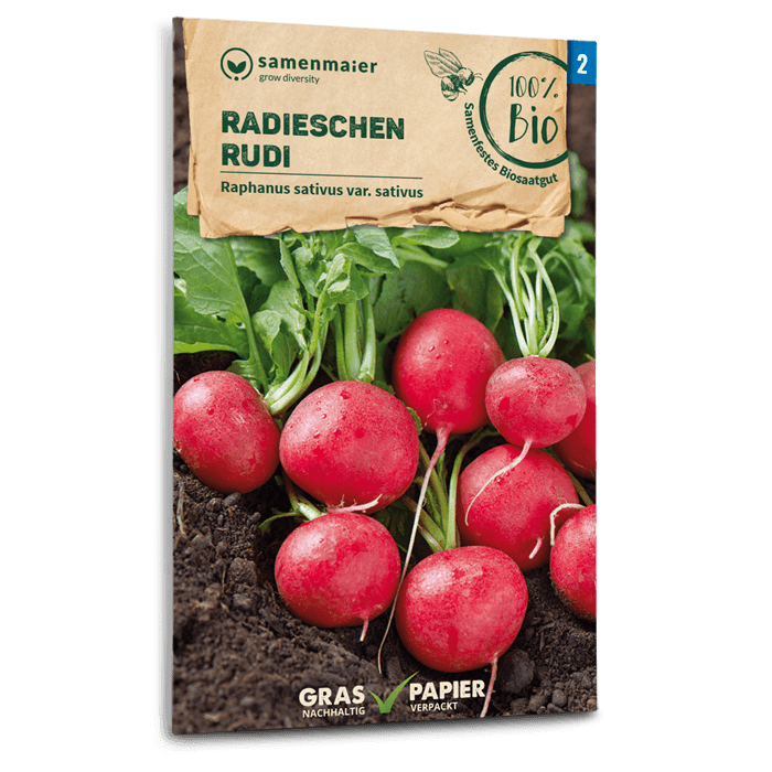 Samen Maier BIO Radieschen Rudi