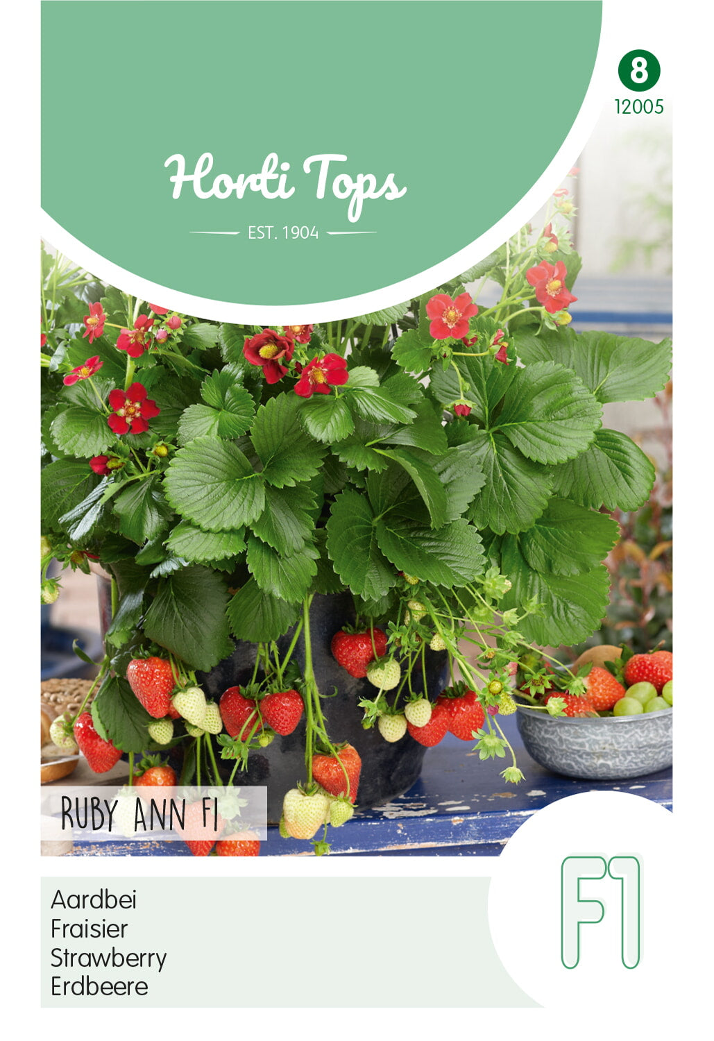 Horti Tops Erdbeere Ruby Ann
