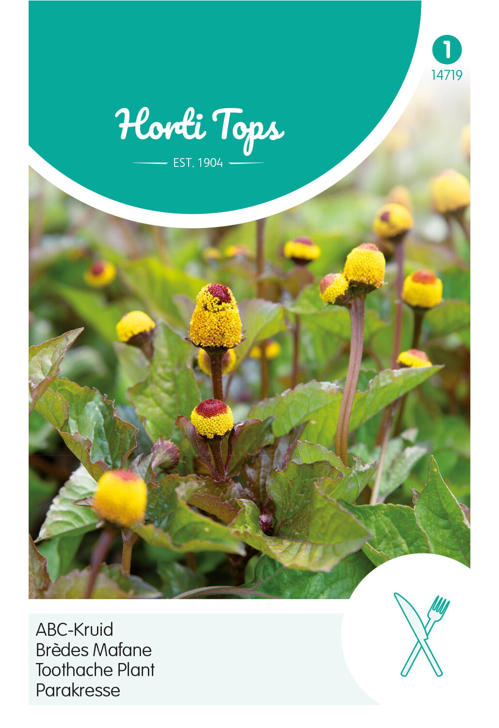 Horti Tops Parakresse Spilanthes