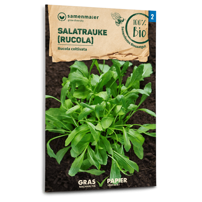 Samen Maier BIO Salatrauke Rucola